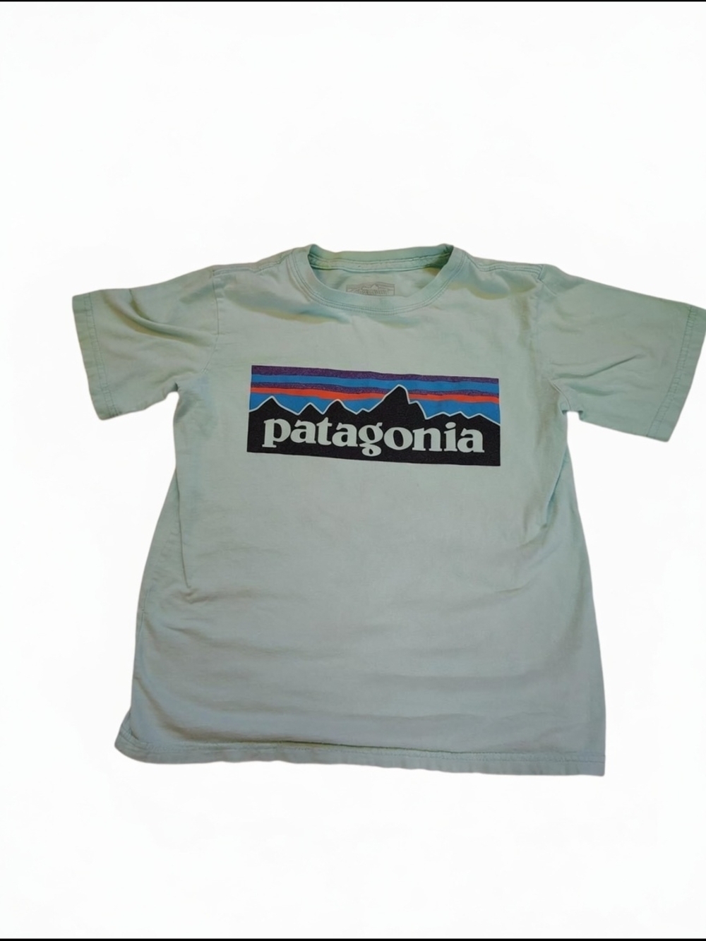 Patagonia Kids Short-Sleeve Logo Tee in Mint Green 5/6 Xs